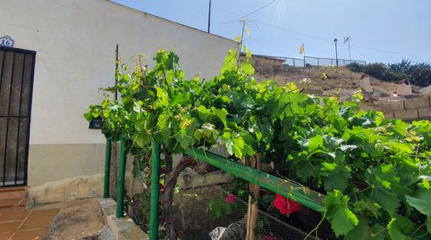 Foto 4 de Casa o chalet en venta en Marchal, Granada