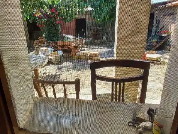 Jardí de Casa o xalet en venda en Pueblica de Valverde amb Balcó