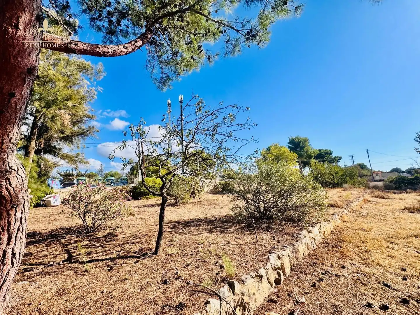 Detached house with pool for sale in EL PLANET, imagen 22