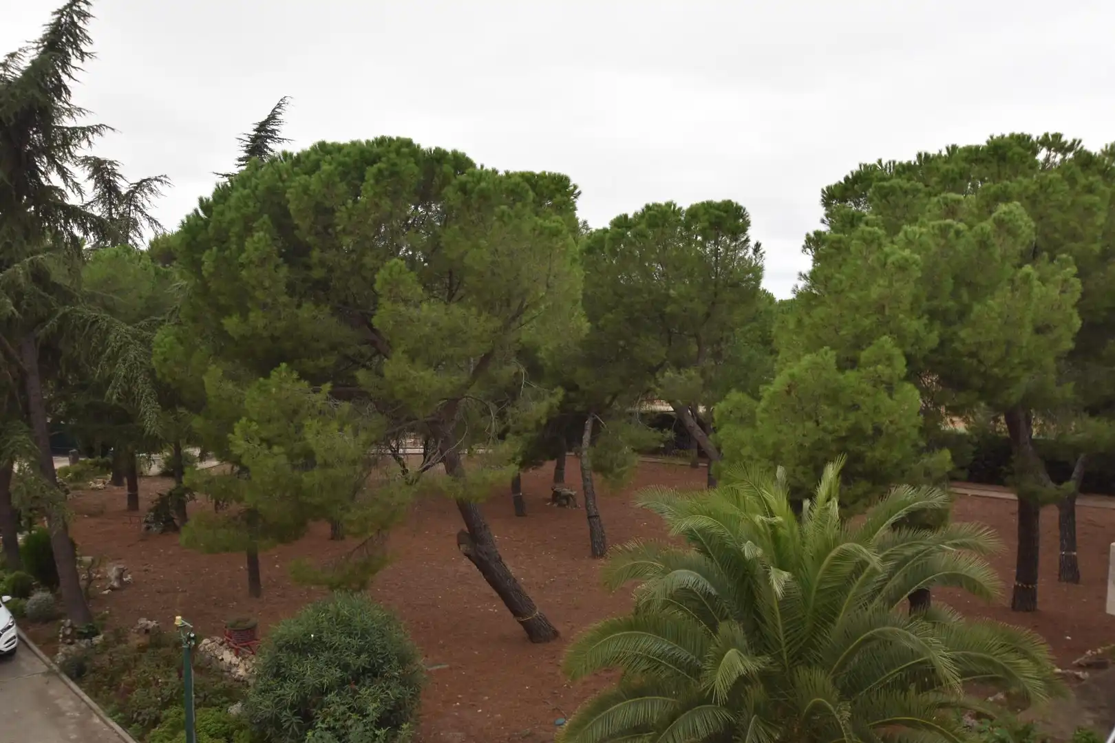 Casa o chalet en venta en Fuente El Saz de Jarama