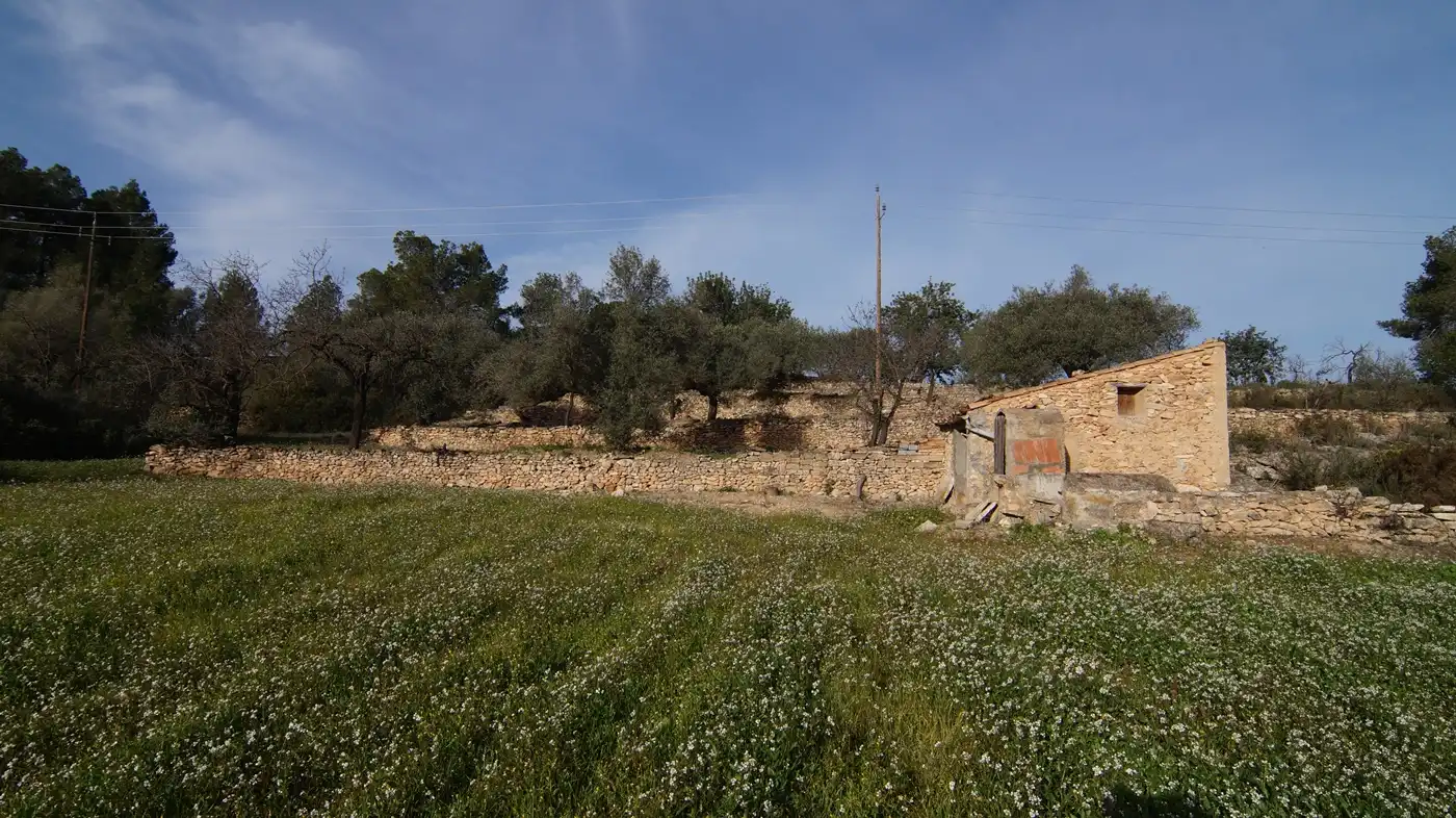 Terrain rustique à vendre à Rasquera, imagen 7