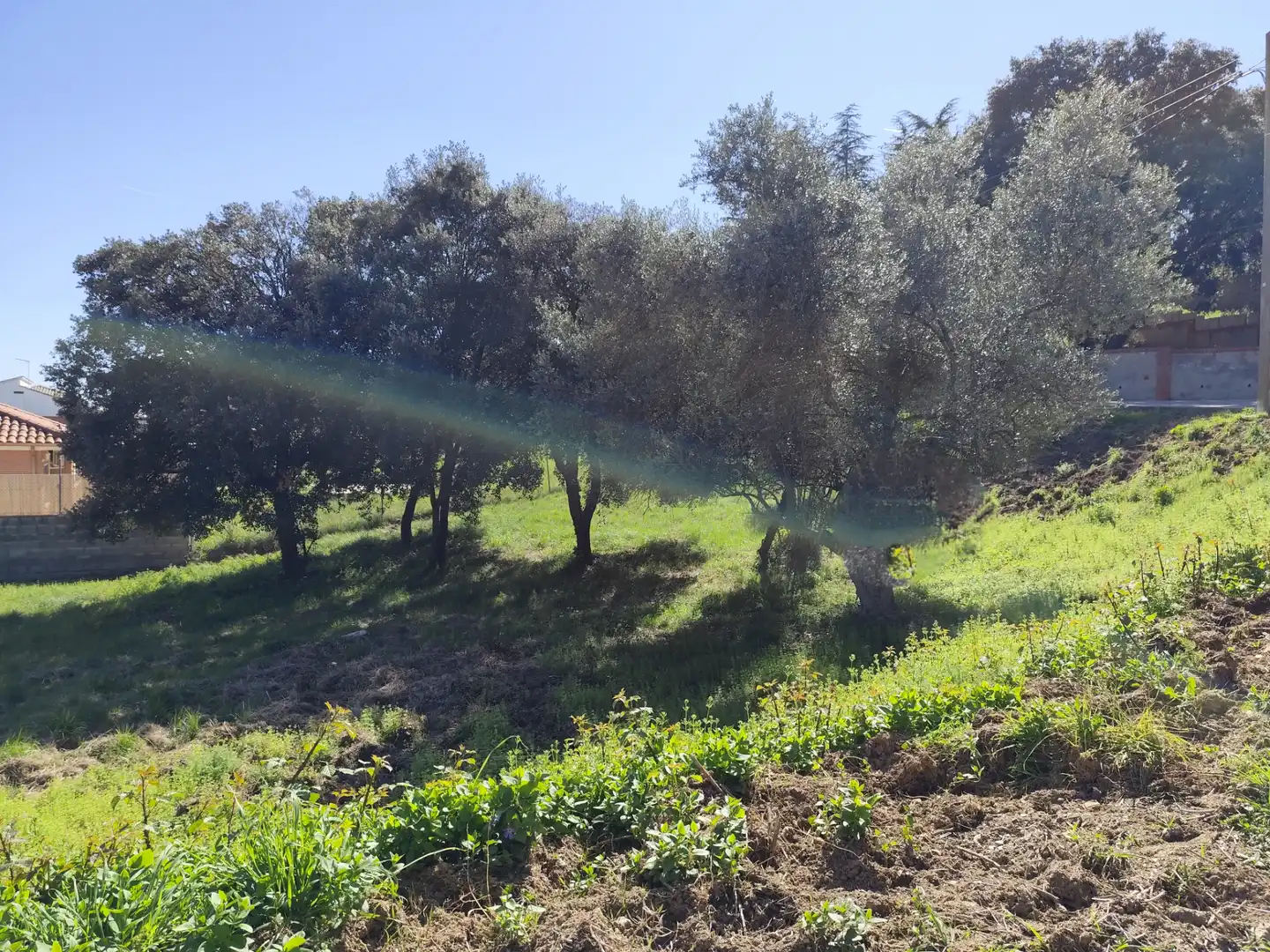 Wohnbaugrundstück zum Verkauf in Carrer Hèrcules, imagen 10