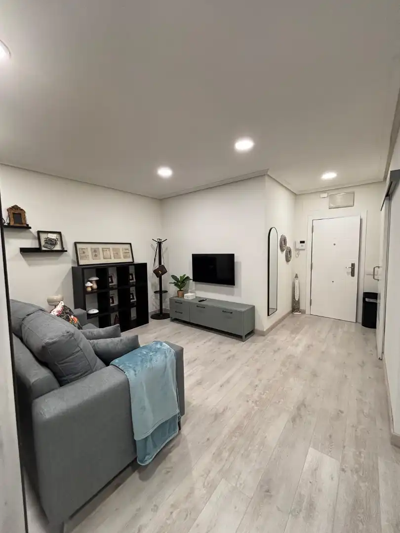 Sala de estar de Apartamento de alquiler en Oviedo  con Calefacción, Parquet y Amueblado