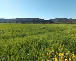 Land for sale in Alcaraz