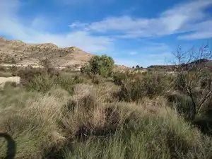 Finca rústica en venta en Alicante / Alacant con Piscina