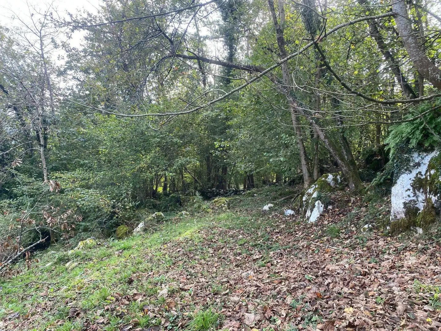 Grundstücke und Bauplätze zum Verkauf in Villar, imagen 9