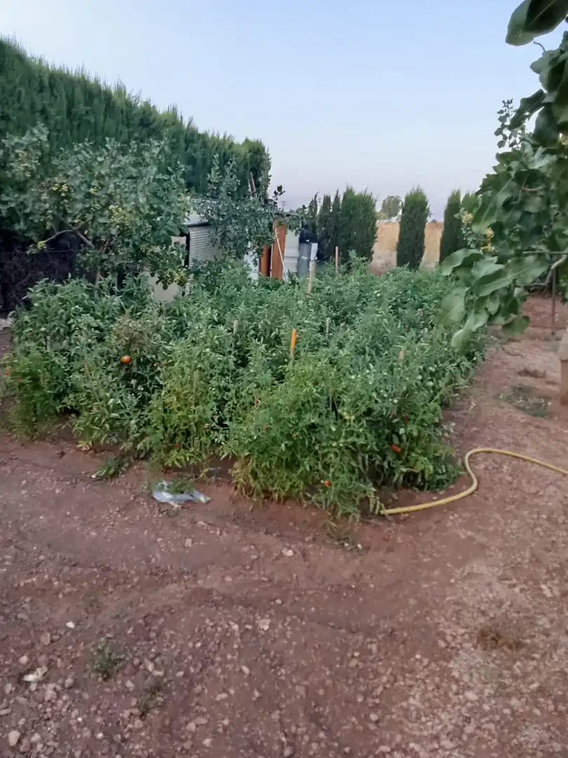 Casa o xalet en venda en Ciudad Real amb Calefacció, Jardí privat i Traster