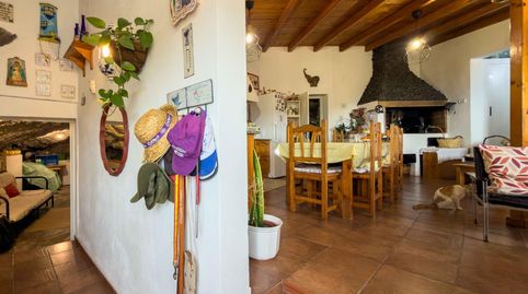 Foto 4 de Finca rústica en venda a Carretera Tf-28 Nº8 Pajara Guimar, El Escobonal - Pájara, Güímar