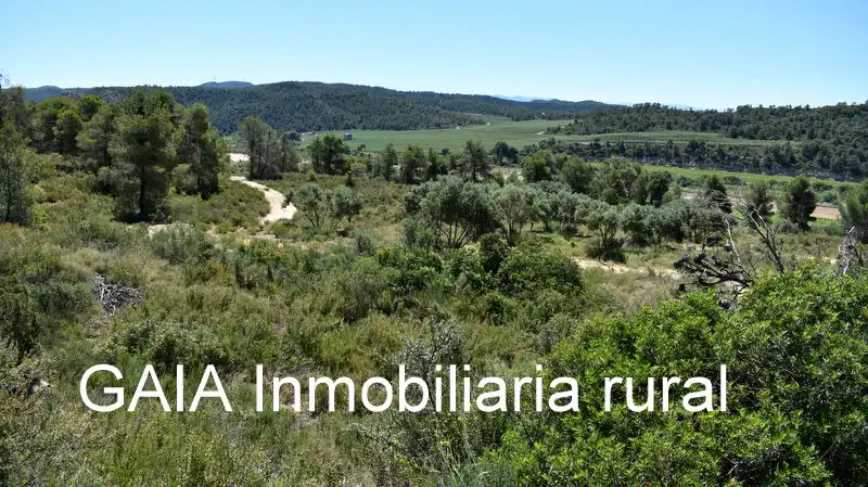 Finca rústica en venda en Batea