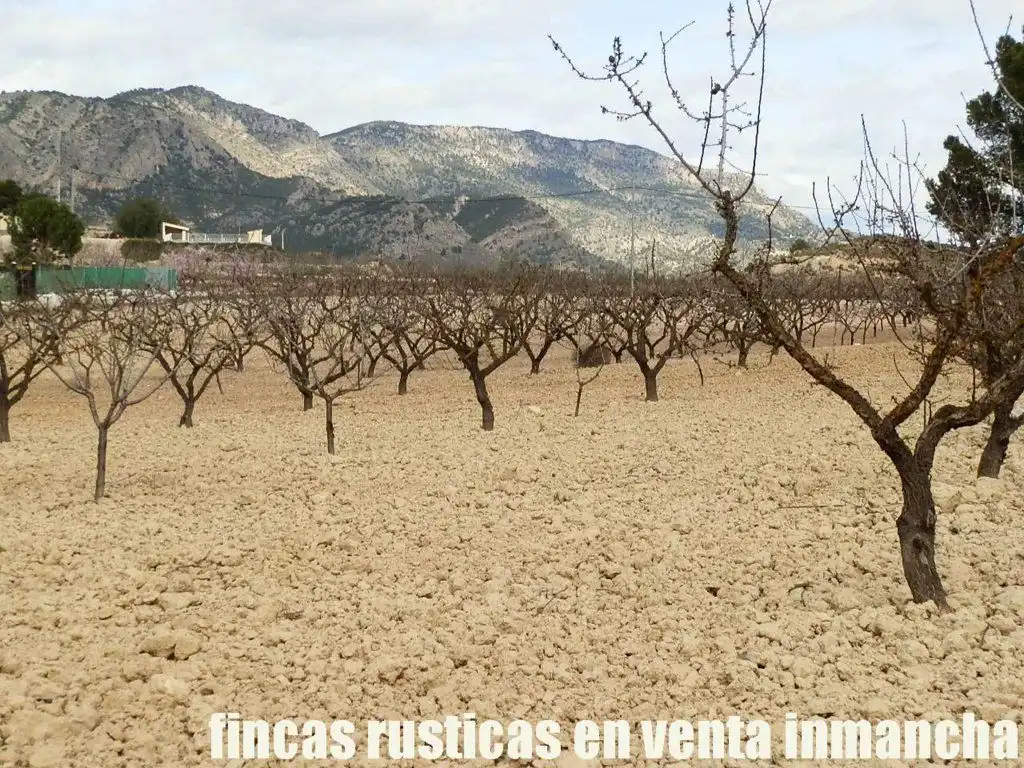Rustikales Grundstück zum Verkauf in Cieza, imagen 14