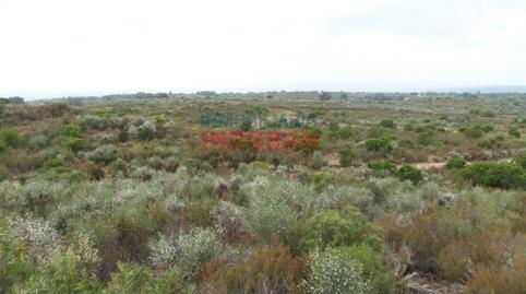 Photo 4 of Country house for sale in Cuacos de Yuste, Cáceres