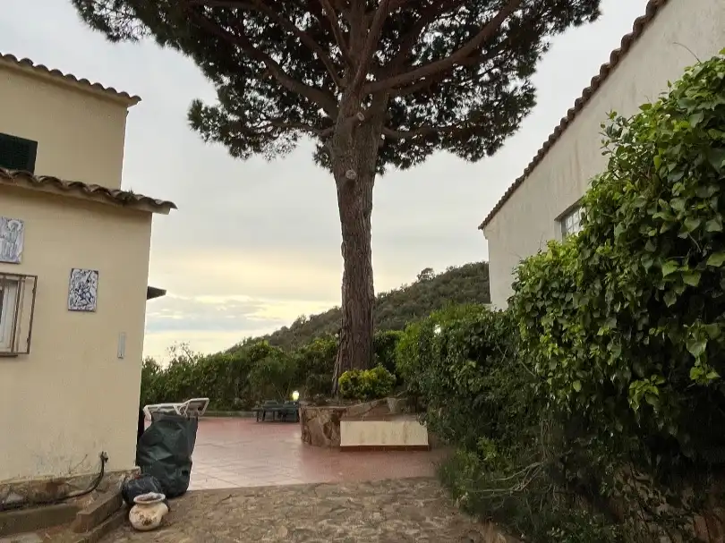 House with garden to rent in Carrer Gèminis 34, imagen 4