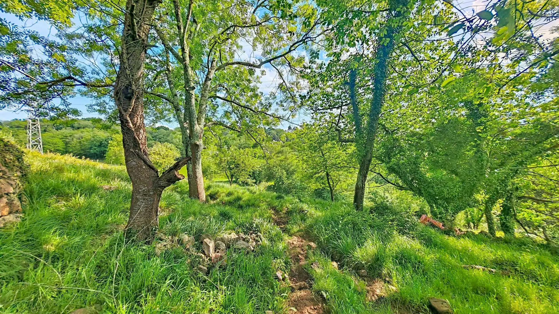 Rural land for sale in Grado, imagen 10