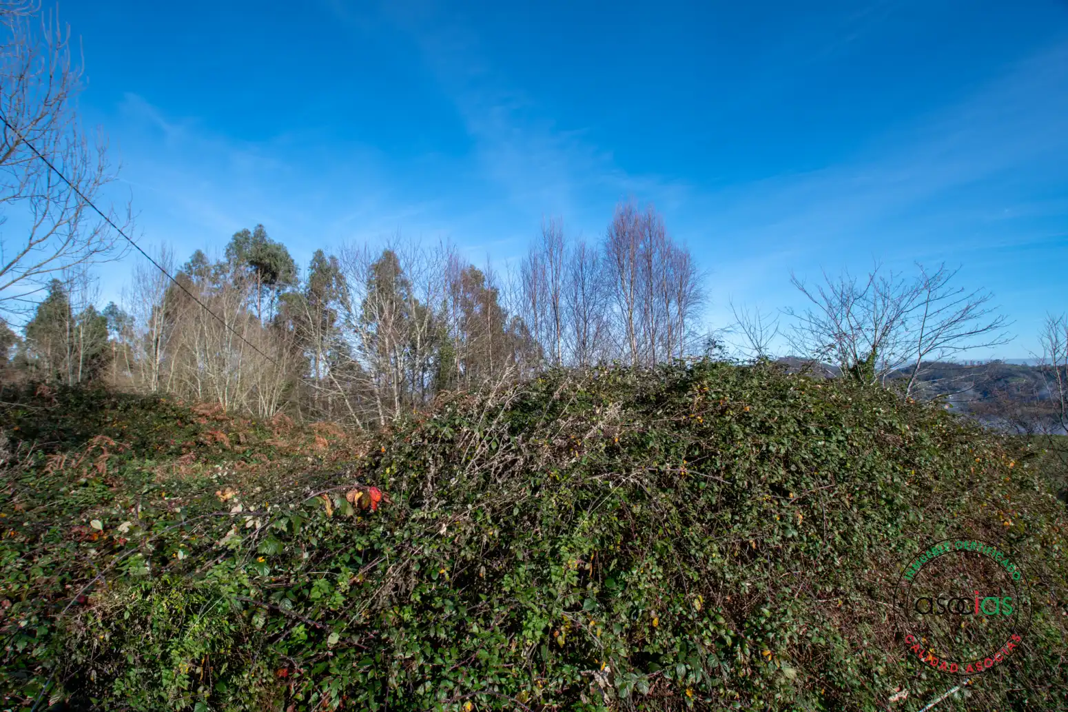 Grundstücke zum Verkauf in Cabranes