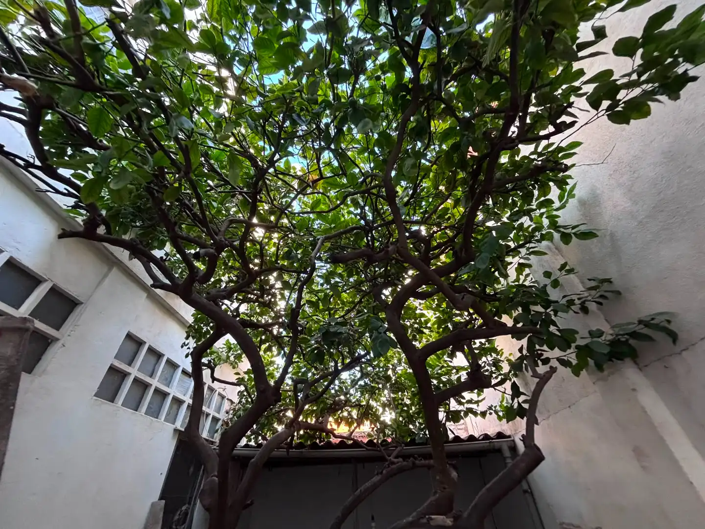 Jardí de Casa o xalet en venda en Burjassot amb Terrassa i Balcó