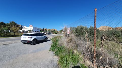 ESPECTACULAR FINCA DE OLIVOS , VALLADA EN GUADIX