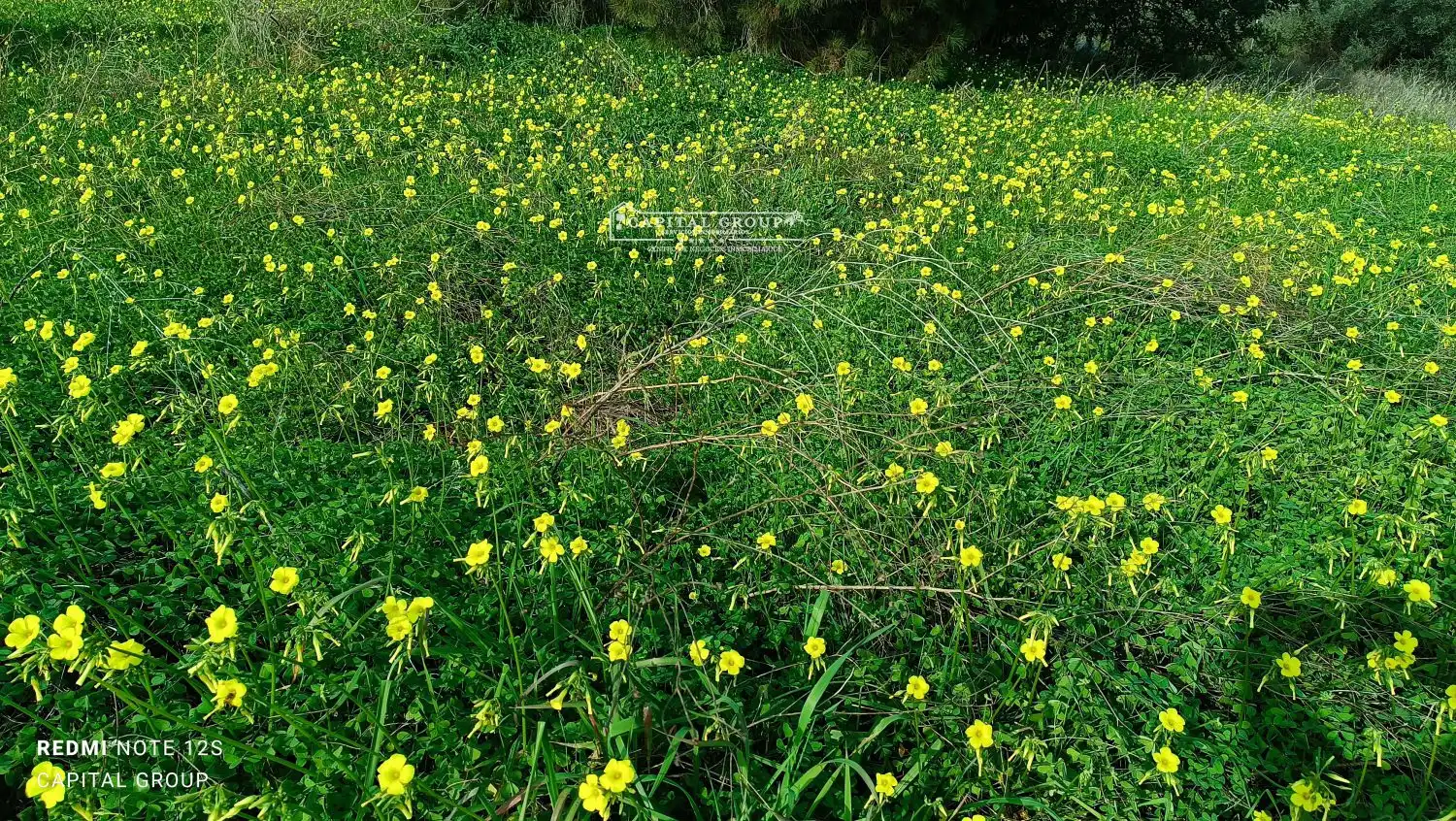 Terrenos y solares en venta en Gibraleón, imagen 34