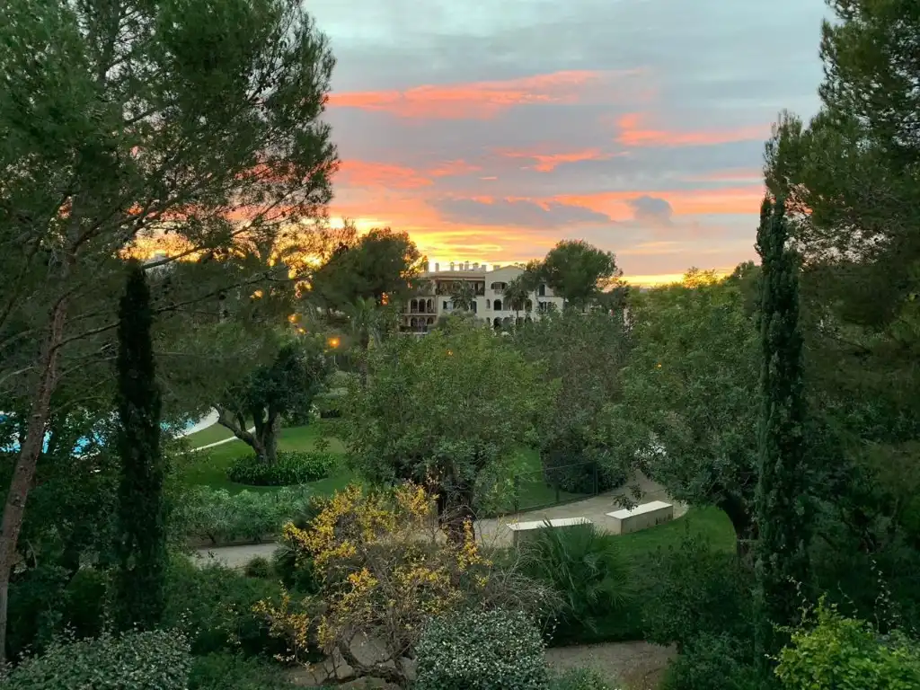 Vista exterior de Apartament de lloguer en Calvià amb Moblat