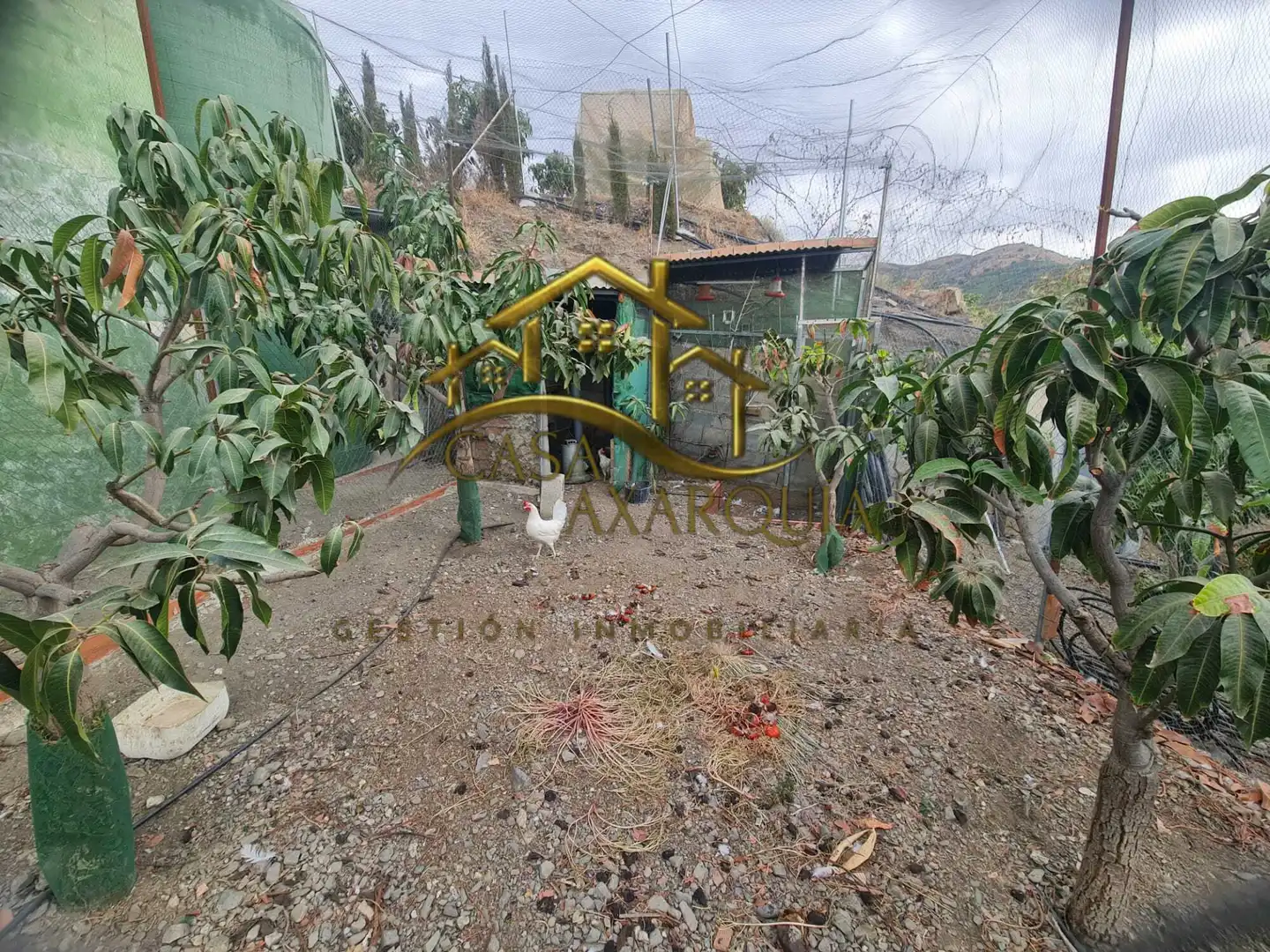 Finca rústica en venda en Vélez-Málaga amb Jardí privat, Terrassa i Piscina