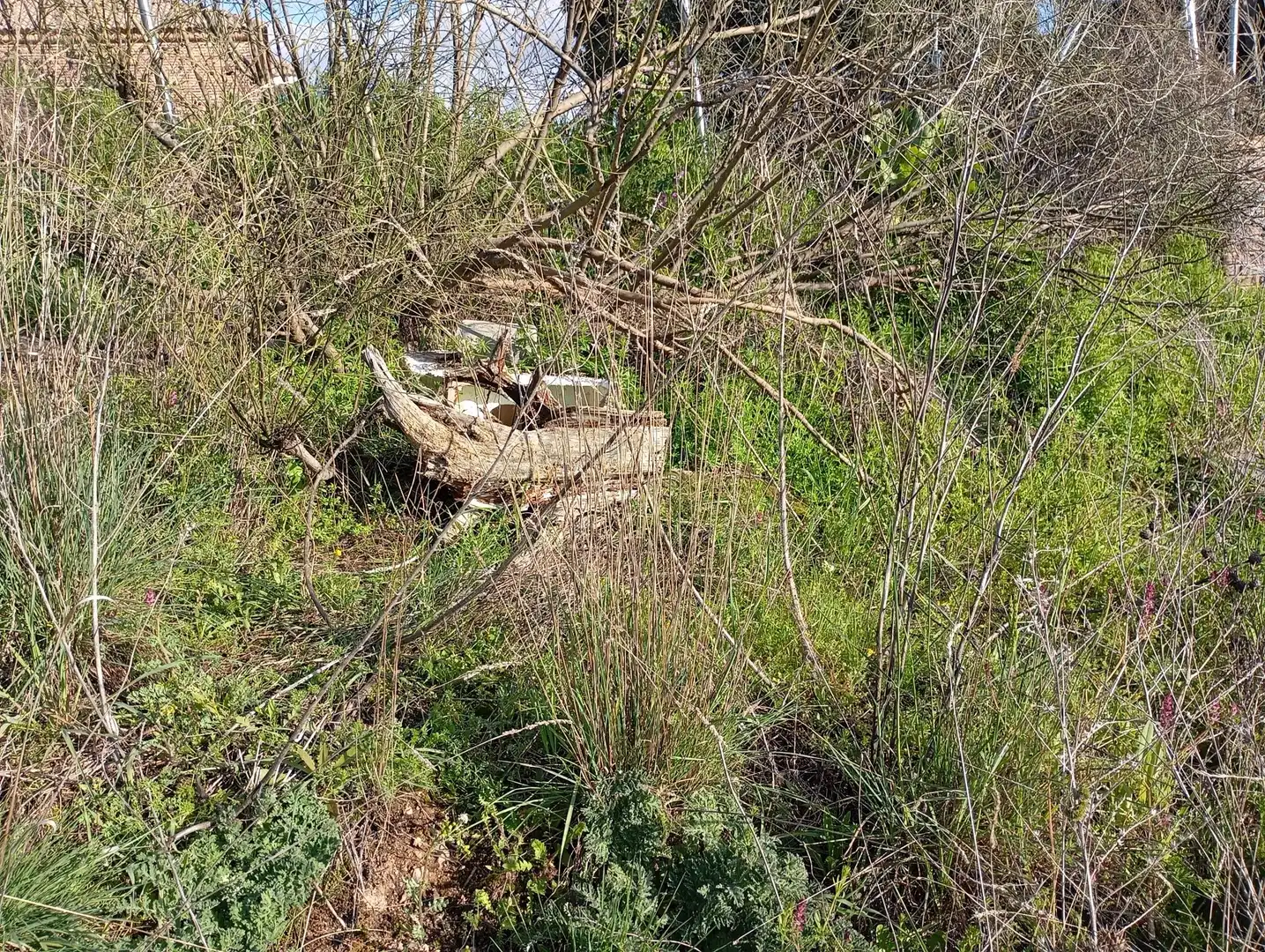 Terreni e lotti in vendita a Robledo de Chavela, imagen 20