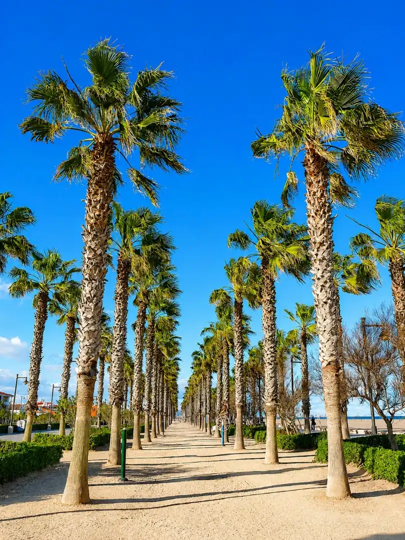 Exterior view of Flat for sale in Valencia