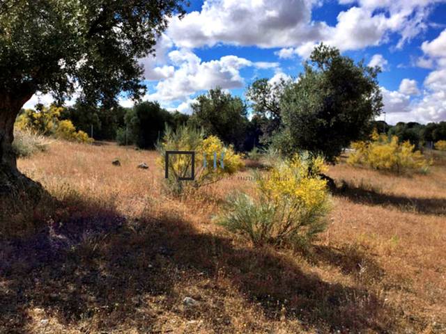 Terreno residencial en Venta en Los Cigarrales-La Bastida