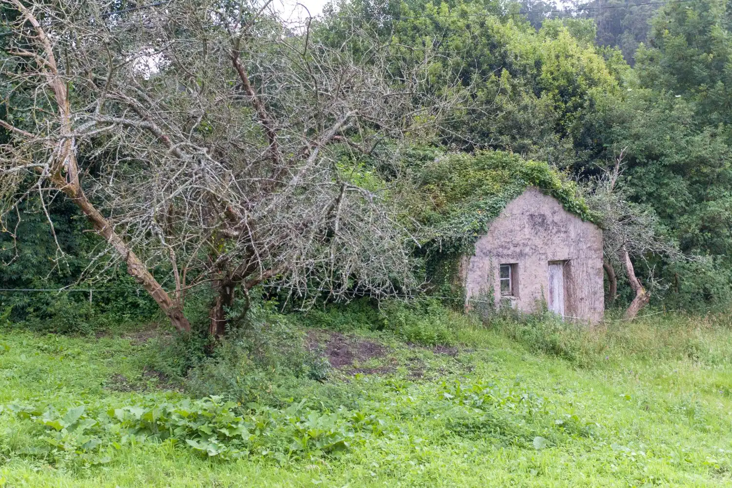 Casa in vendita a El Franco, imagen 10