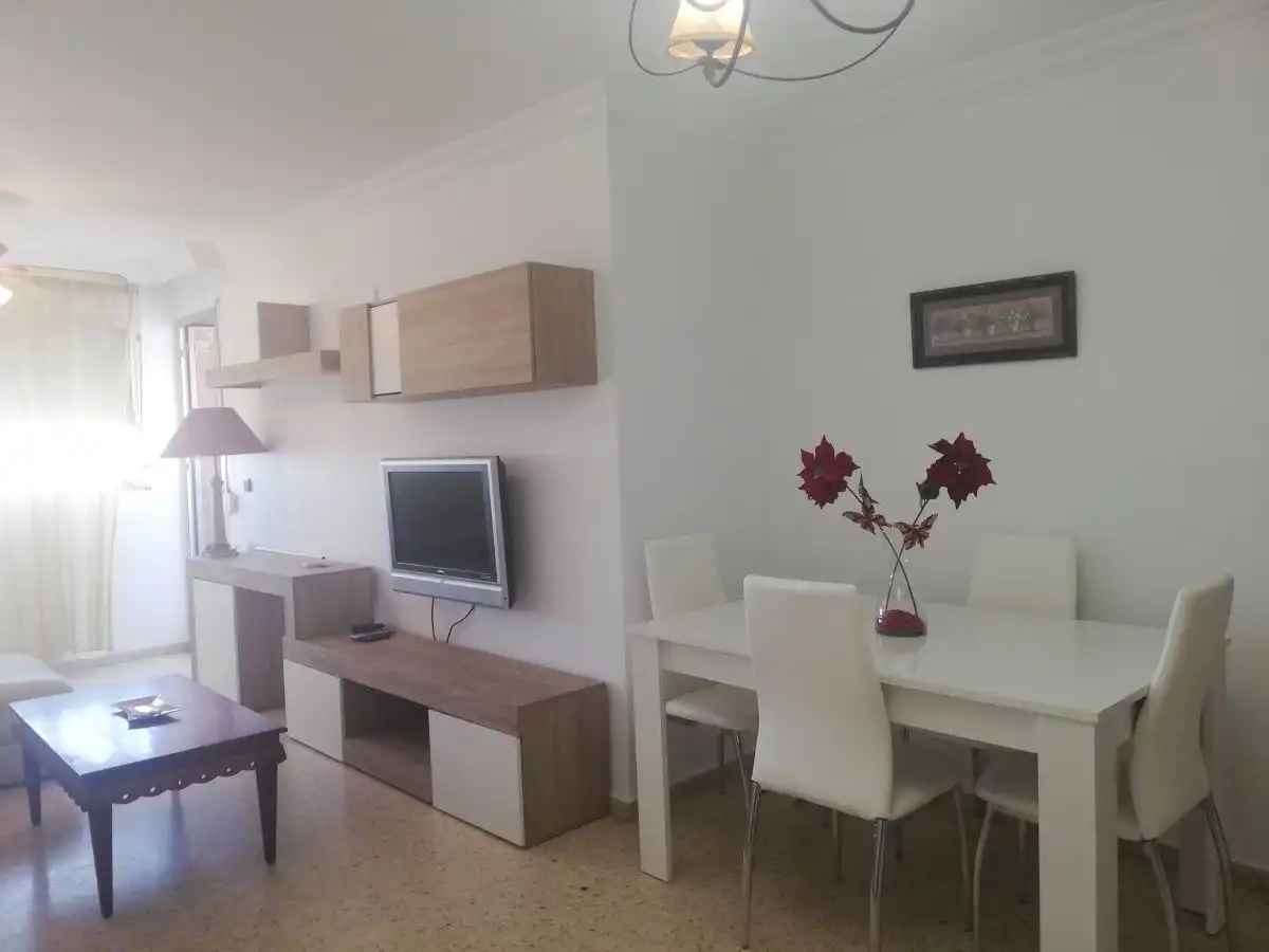 Appartamento con terrazza in affitto a Molino de la Vega, imagen 4