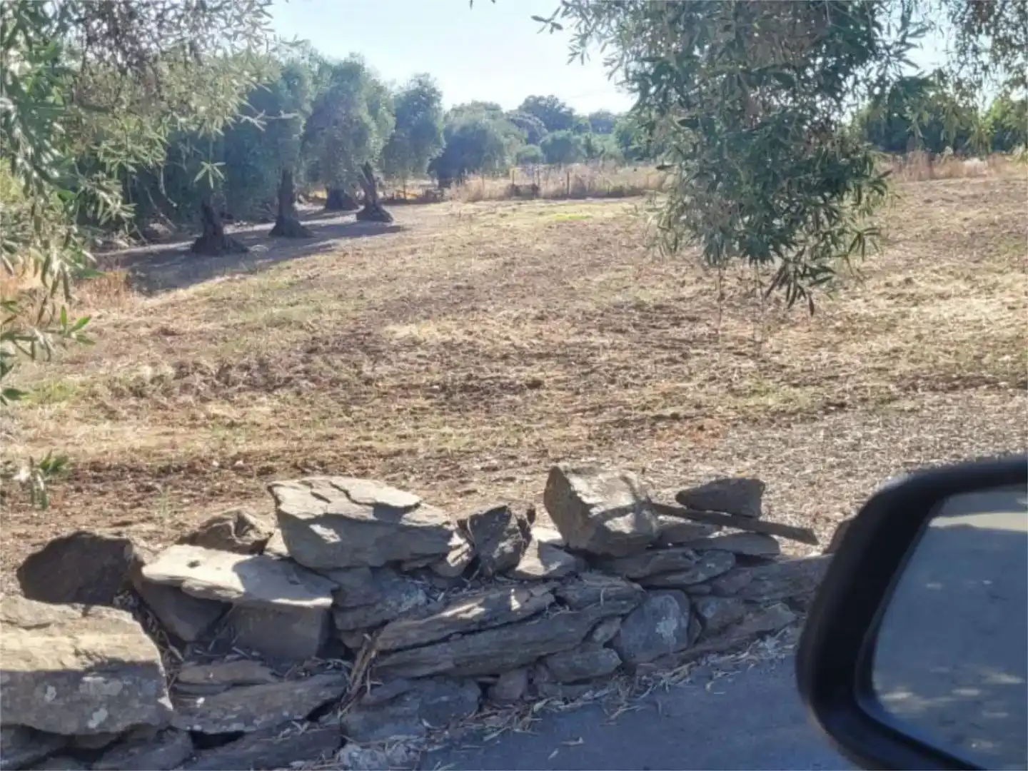 Terreno en venta en Puebla de Obando