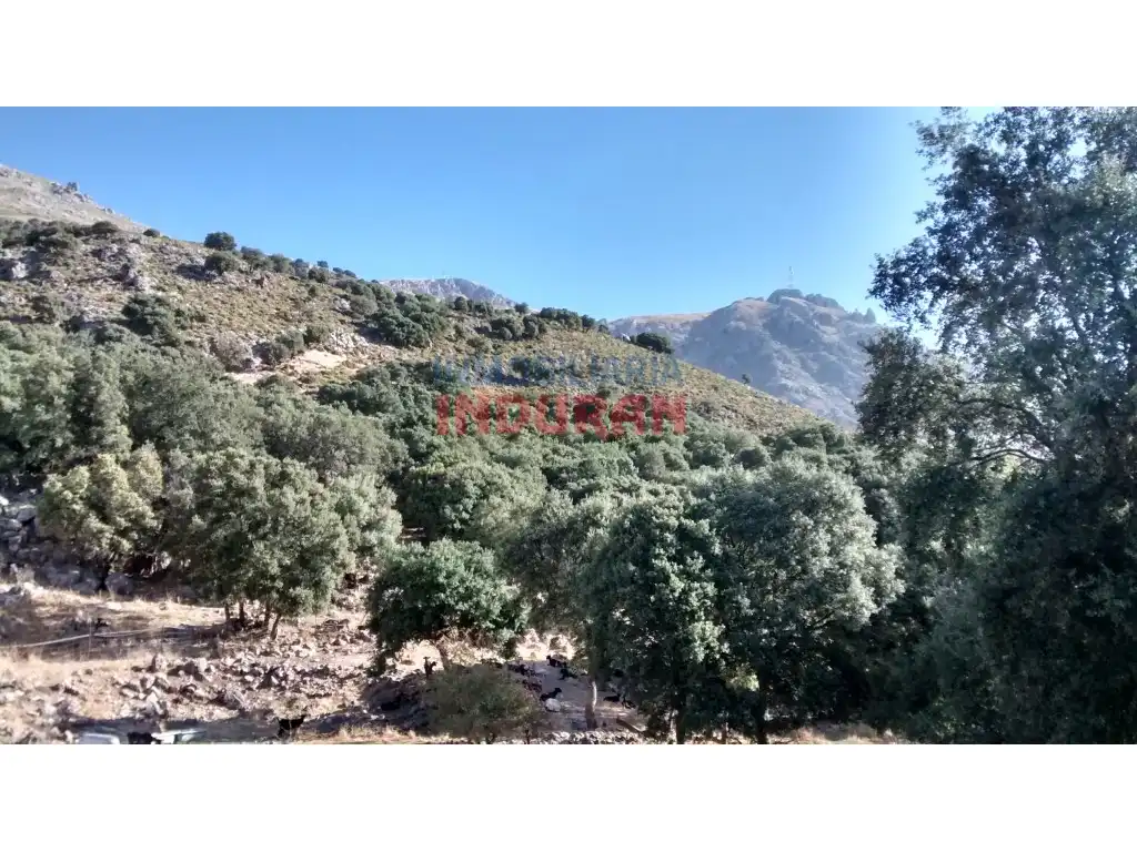 House for sale in Valdepeñas de Jaén, imagen 5