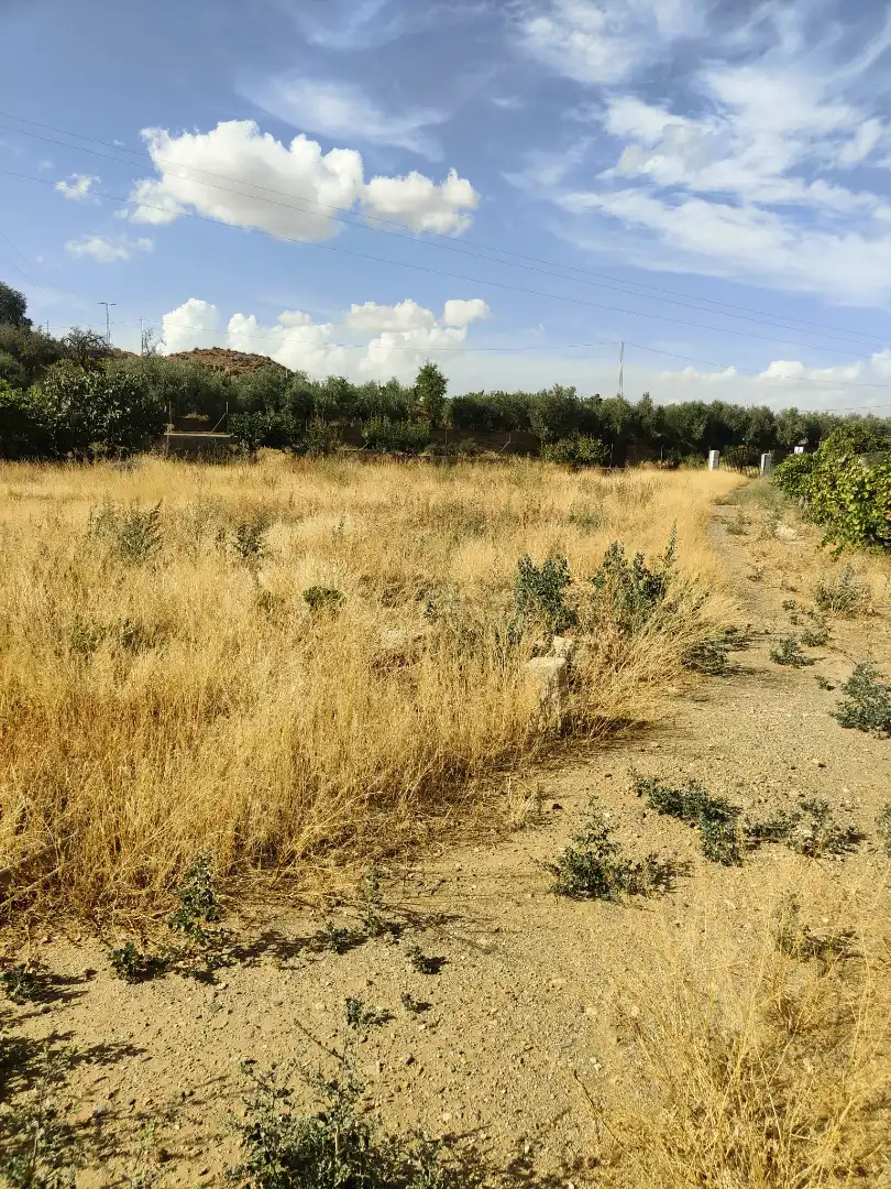 Finca rústica en venda en Cortes y Graena amb Jardí privat, Terrassa i Piscina