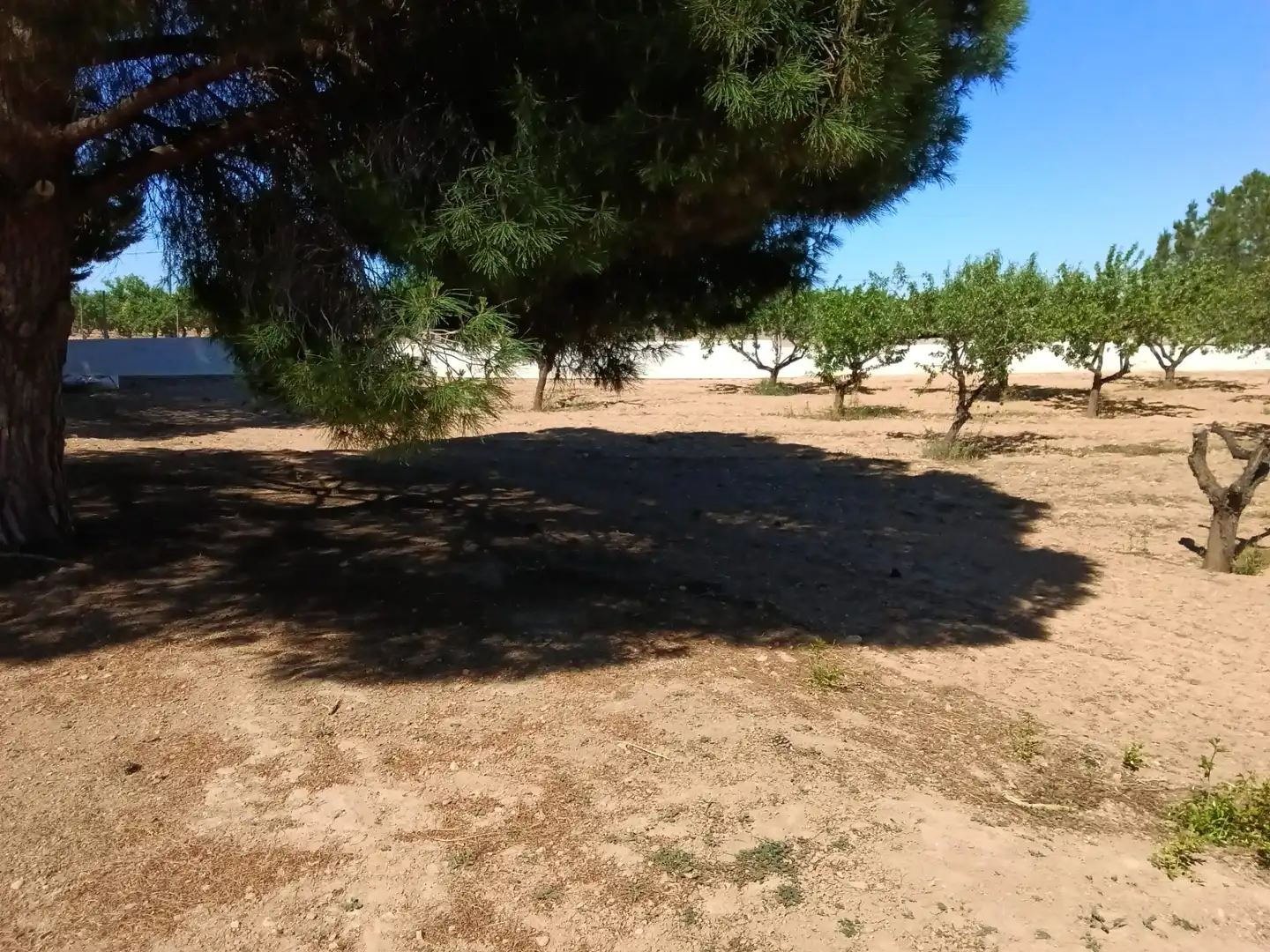 Finca rústica en venta en Fuente Álamo de Murcia con Aire acondicionado, Jardín privado y Amueblado