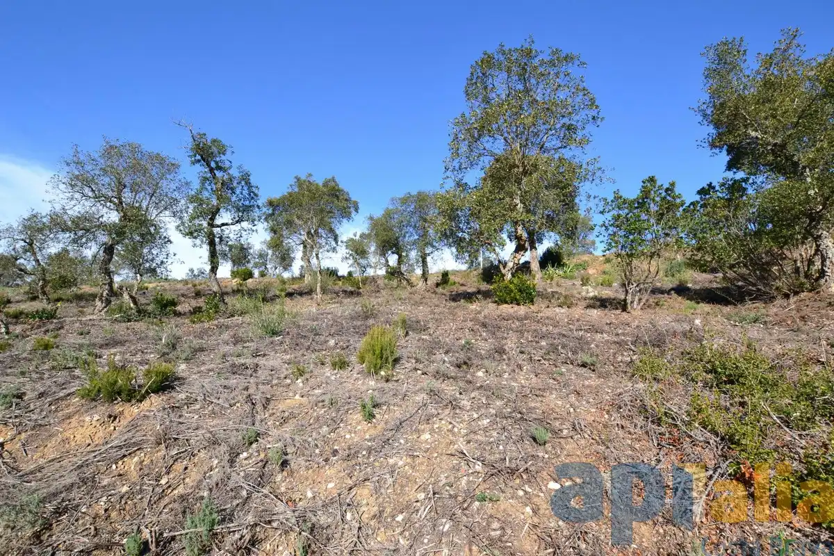 Terreny residencial en venda a Carrer Avet, imagen 7