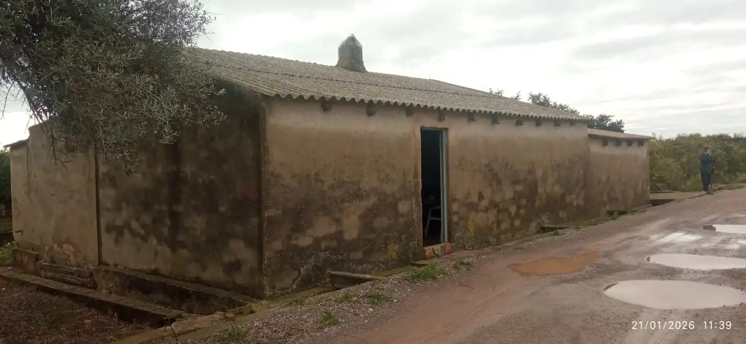 Vista exterior de Finca rústica en venda en Burriana / Borriana amb Terrassa