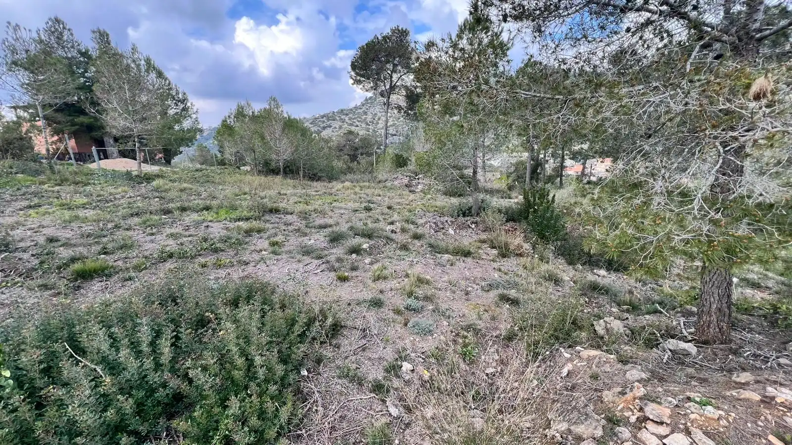 Lands and plots for sale in Avinguda Olesa de Bonesvalls, imagen 8