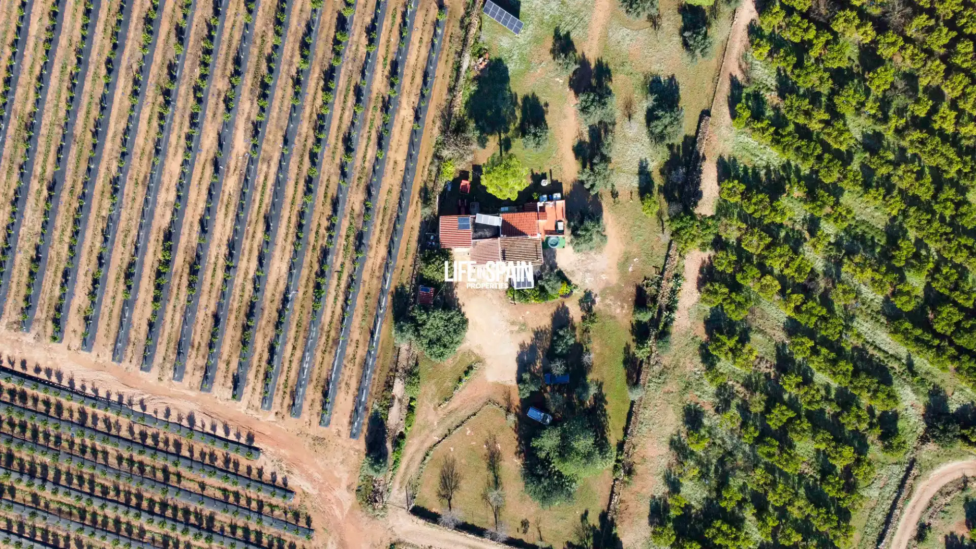 Landhaus mit Garten zum Verkauf in Roquetes, imagen 84