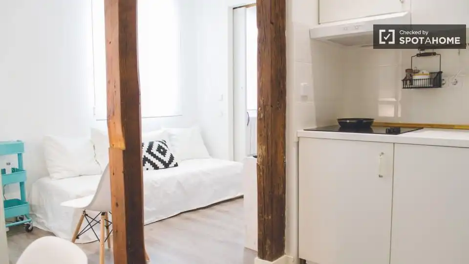 Appartamento in affitto a Centro, imagen 14