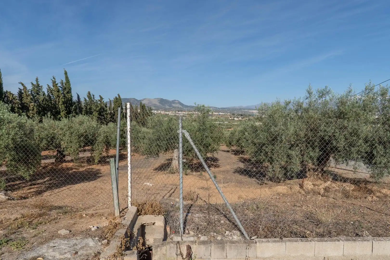 Terreni e lotti in vendita a Albolote, imagen 8