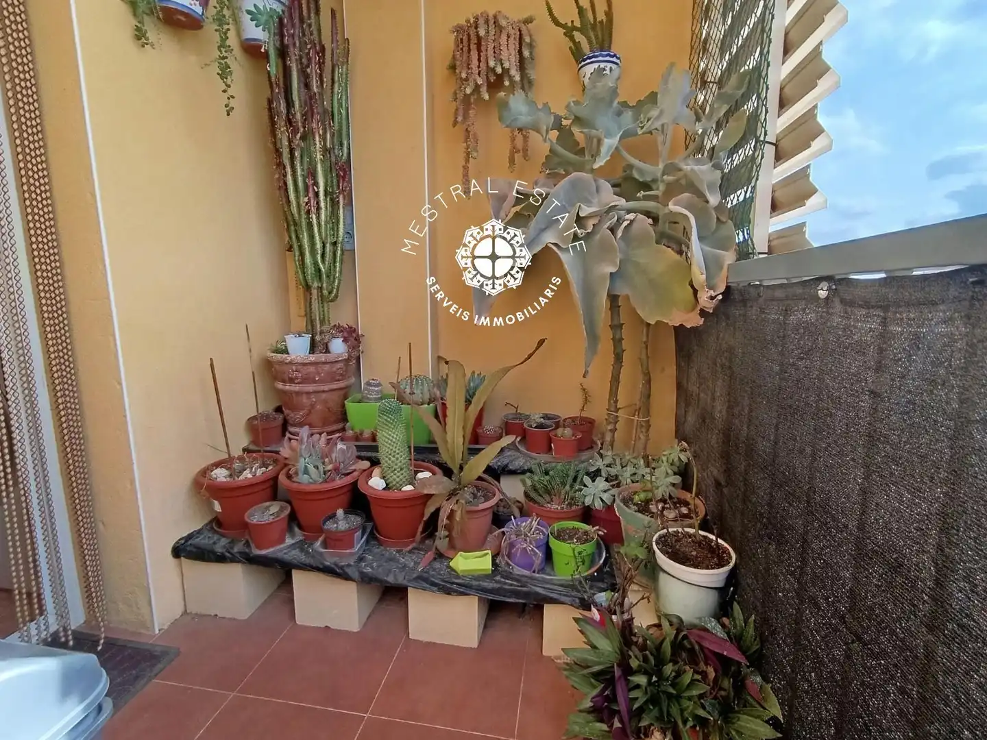 Terrassa de Pis en venda en Montbrió del Camp amb Calefacció, Terrassa i Traster