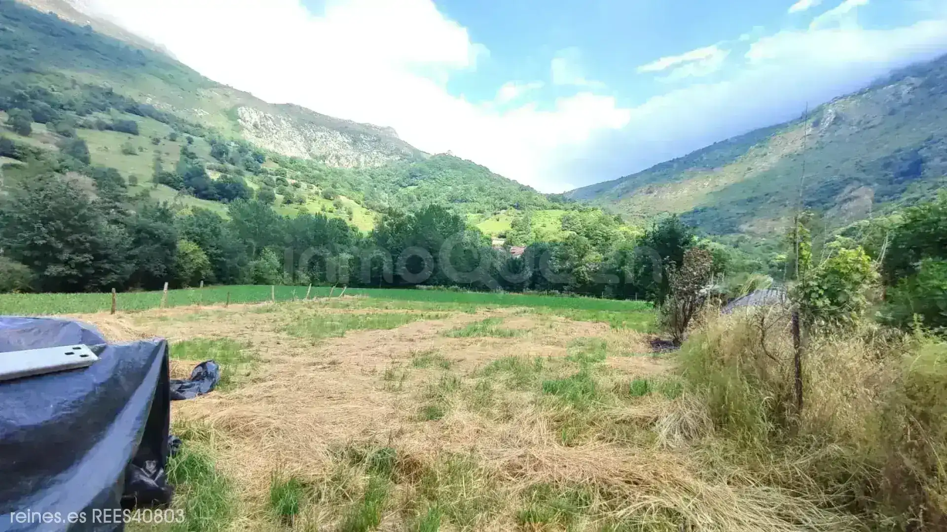 Finca rústica en venda en Peñamellera Alta amb Jardí privat