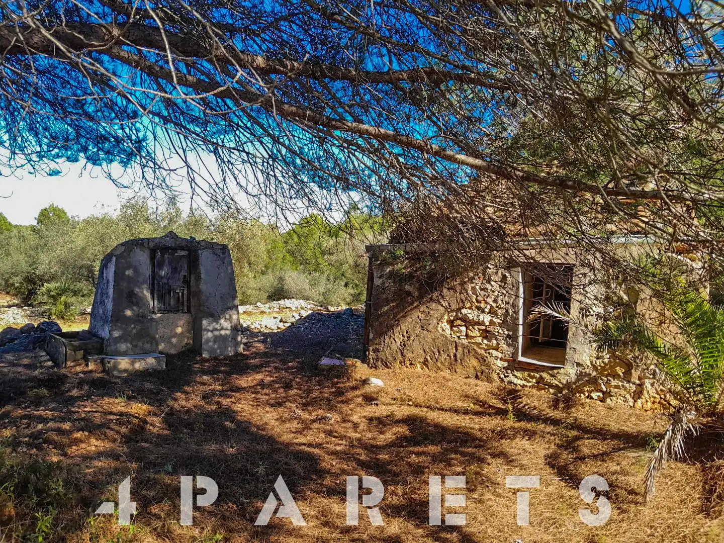 Rural land for sale in Cervera del Maestre, imagen 4