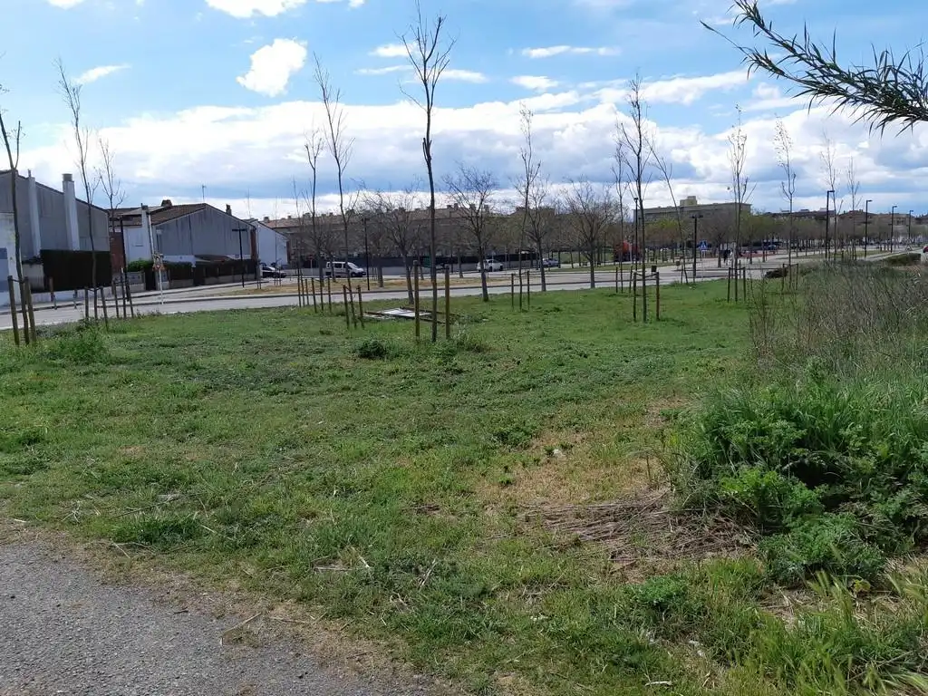 Terrain rustique à vendre à Ps de Vilatenim, imagen 6