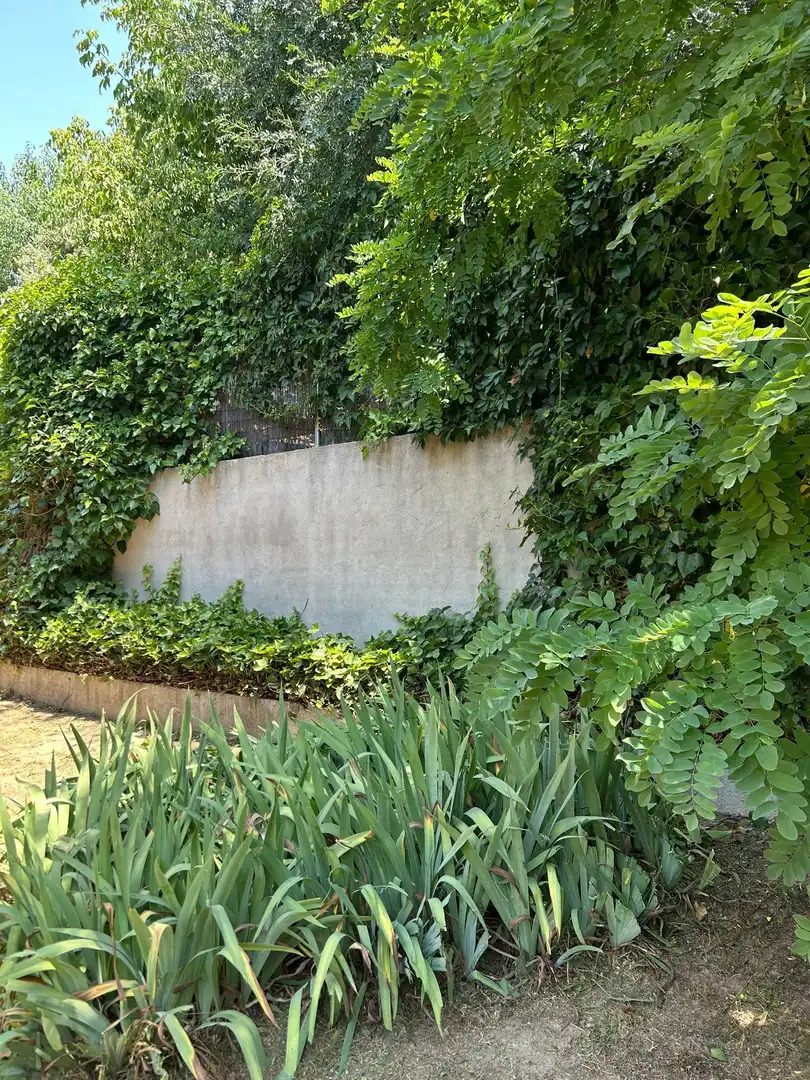 Jardín de Casa o chalet en venta en Colmenarejo con Calefacción, Jardín privado y Terraza