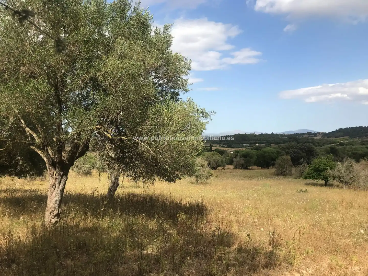Finca rústica en venta en Maria de la Salut con Calefacción y Terraza