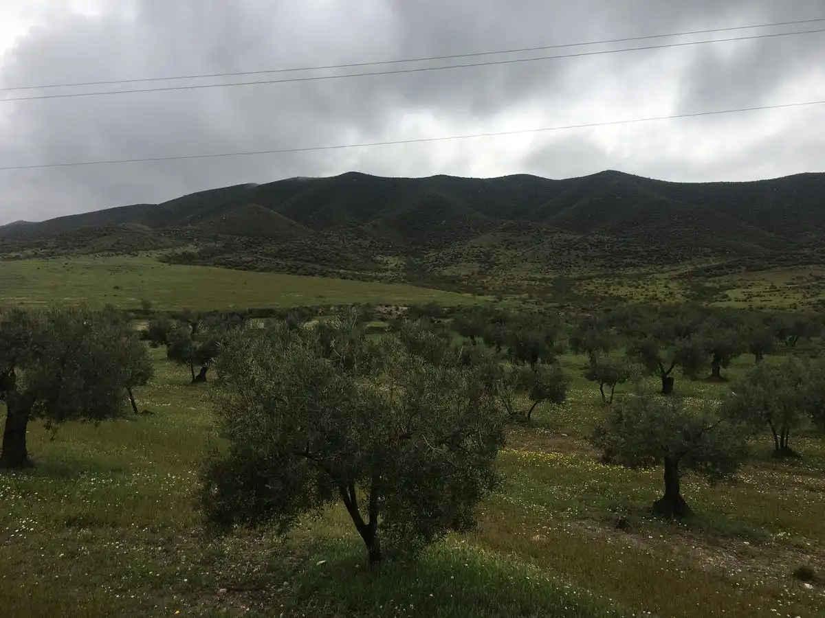 Rural land for sale in Turrillas, imagen 4