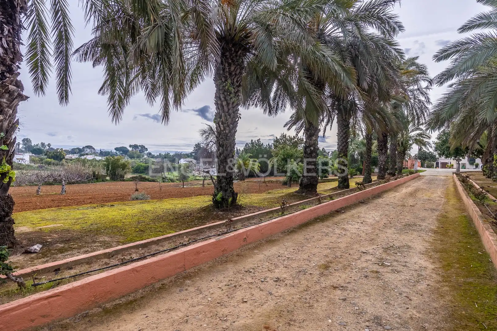 Finca rústica en venta en Olivares con Calefacción, Jardín privado y Piscina