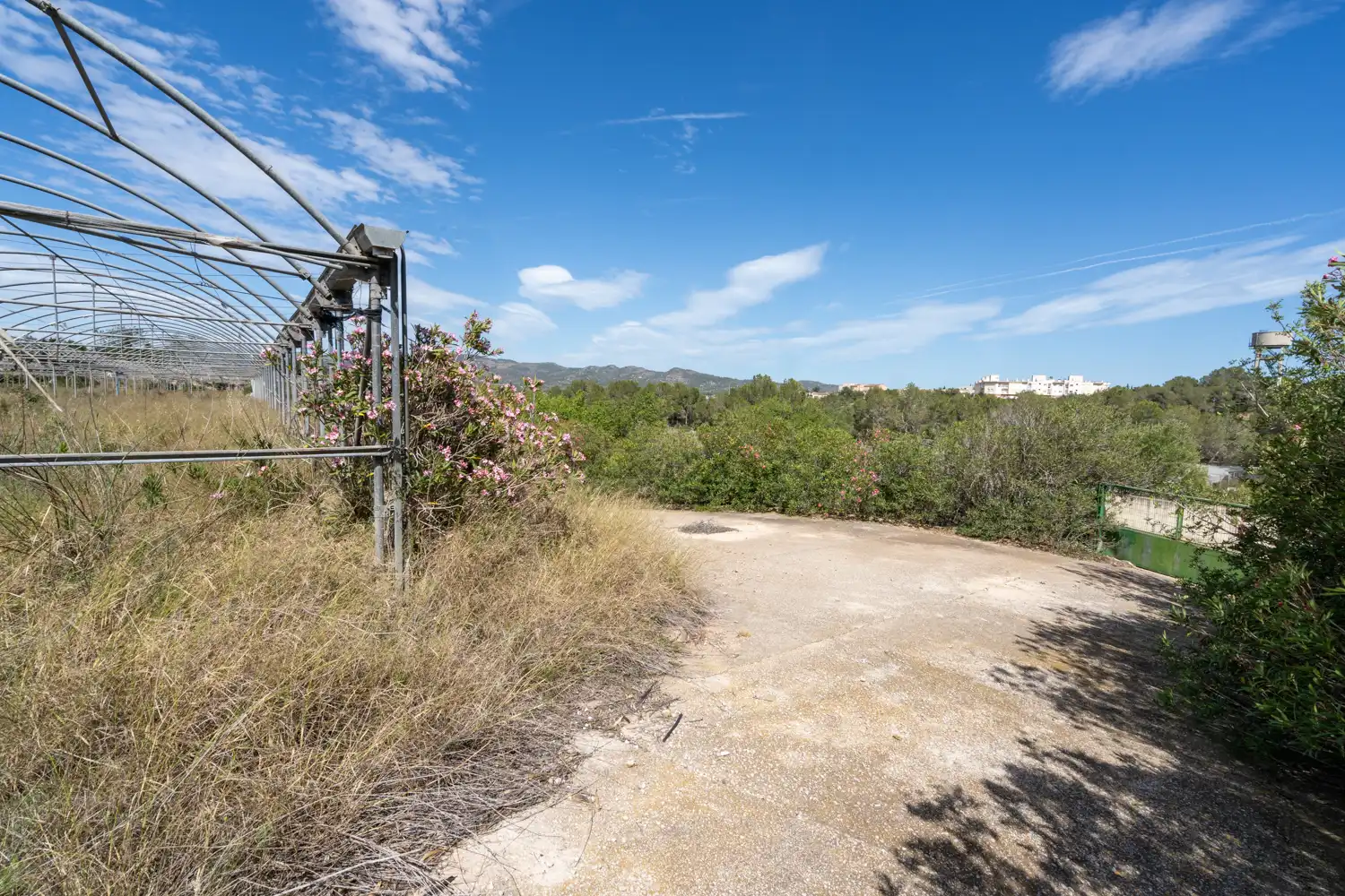 Rural land for sale in Camí del Barranc de Roé 94, imagen 8