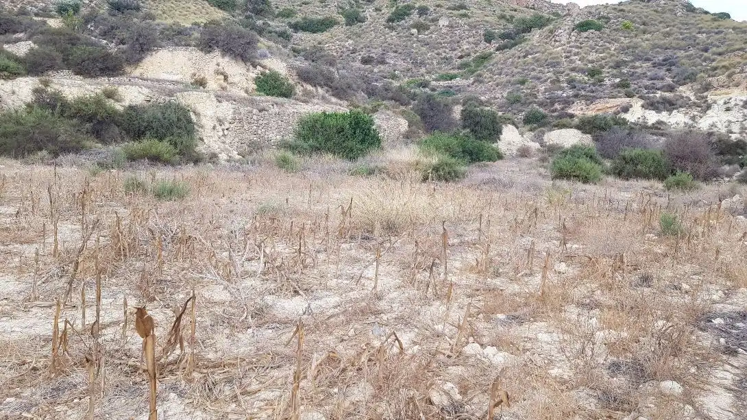 Terrenys i solars en venda a Sorbas, imagen 10