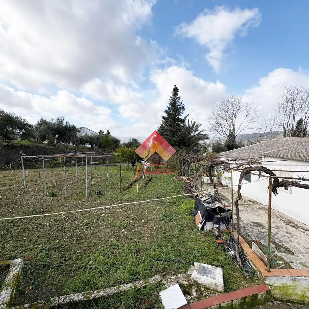 House with garden for sale in Partidas Norte, imagen 6