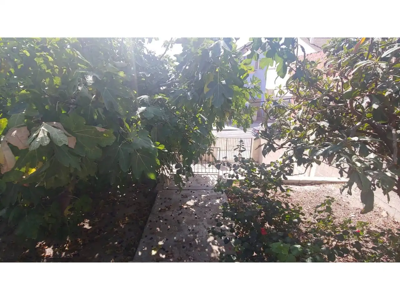 Houses for sale in Archena  with Private garden and Terrace